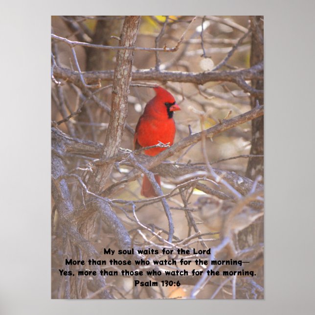 Red Cardinal Bird Waiting Peacefully Bible Verse Poster (Front)