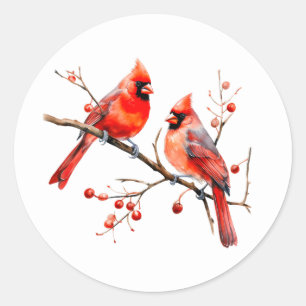 Red Cardinal Birds on Tree Branch Classic Round Sticker