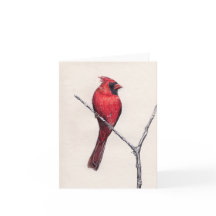 Red Cardinal Blank Card