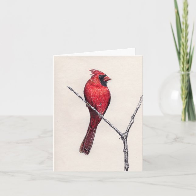 Red Cardinal Blank Card (Front)