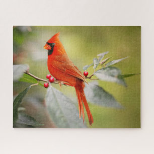 Red Cardinal Christmas Holidays Nature Jigsaw Puzzle