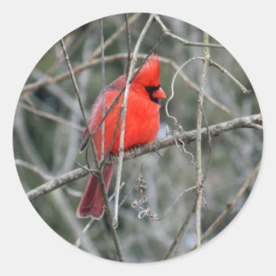 Red Cardinal Crest Classic Round Sticker