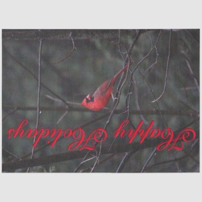 Red Cardinal Designer Tissue Paper (Front)