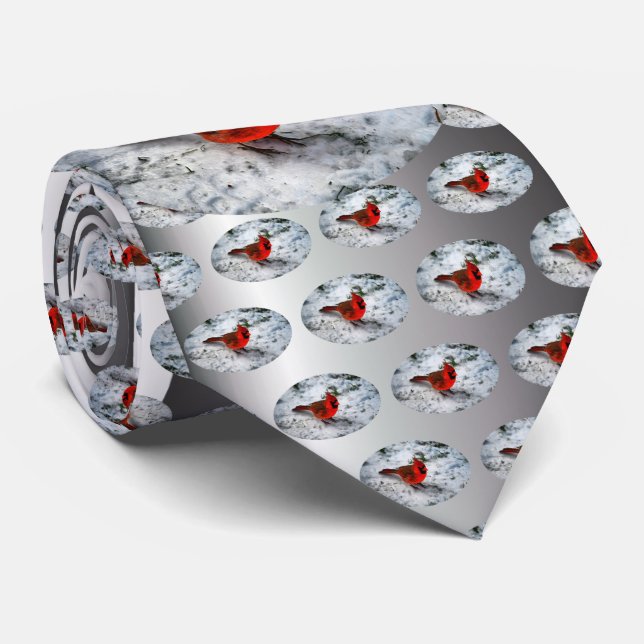 Red Cardinal Feathers and Plumage Tie (Rolled)