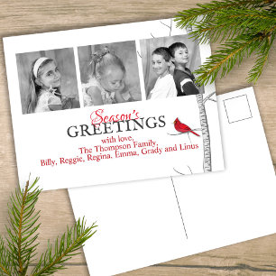 Red Cardinal holiday Christmas Woodland 3 Photo Postcard