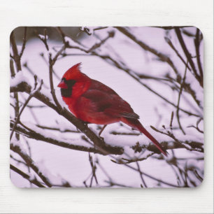 Red Cardinal in a Snow Filled Tree Mouse Pad