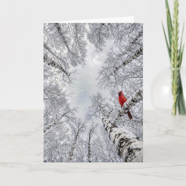 Red Cardinal In a Winter White Birch Forest Card (Front)