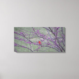 Red Cardinal in Eastern Red Bud Tree Canvas Print