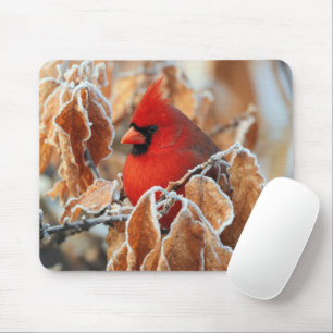 Red Cardinal in Frosty Autumn Leaves Mouse Pad