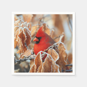 Red Cardinal in Frosty Autumn Leaves Napkin