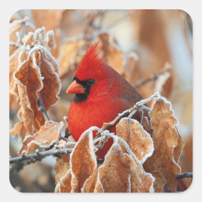 Red Cardinal in Frosty Autumn Leaves Square Sticker (Front)