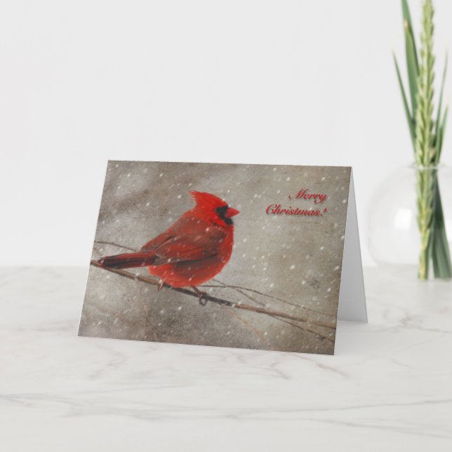 Red Cardinal In Snow - Christmas Card (Front)