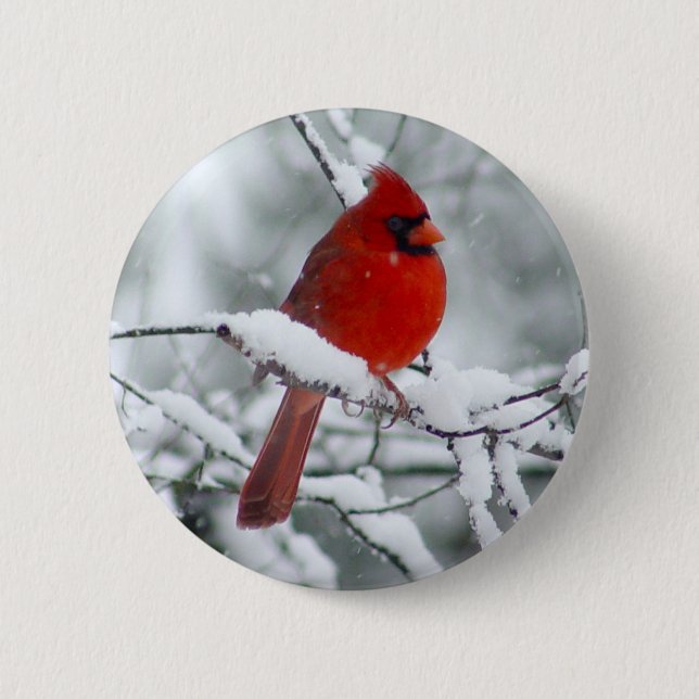Red Cardinal in the Snow Button (Front)