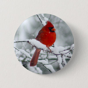 Red Cardinal in the Snow Button