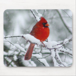 Red Cardinal in the Snow Mousepad