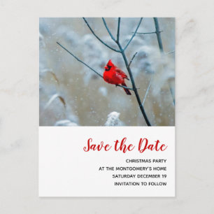 Red Cardinal in Winter Christmas Save the Date Invitation Postcard