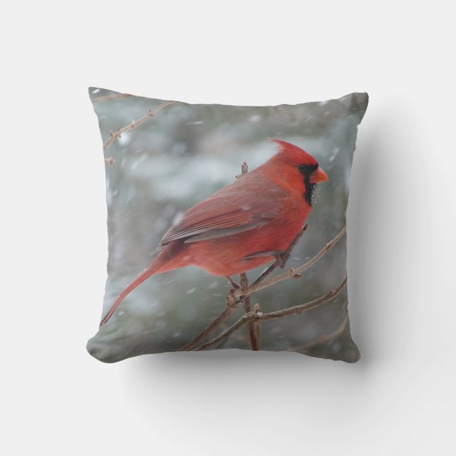 Red cardinal in Winter Cushion (Front)