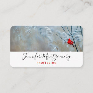 Red Cardinal in Winter Nature Photo Christmas Business Card
