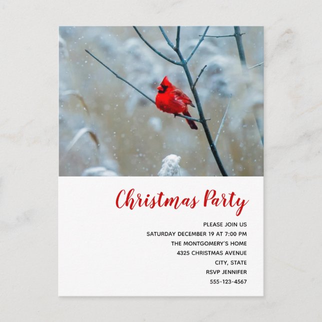 Red Cardinal in Winter Nature Photo Christmas Invitation Postcard (Front)
