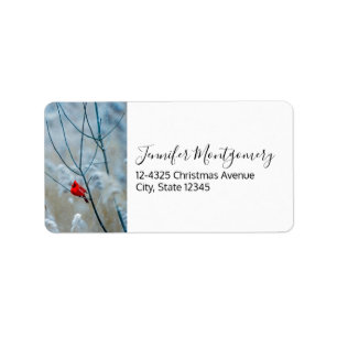 Red Cardinal in Winter Nature Photo Christmas Label