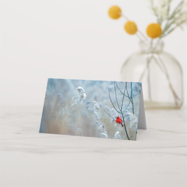 Red Cardinal in Winter Nature Photo Christmas Place Card (Front)