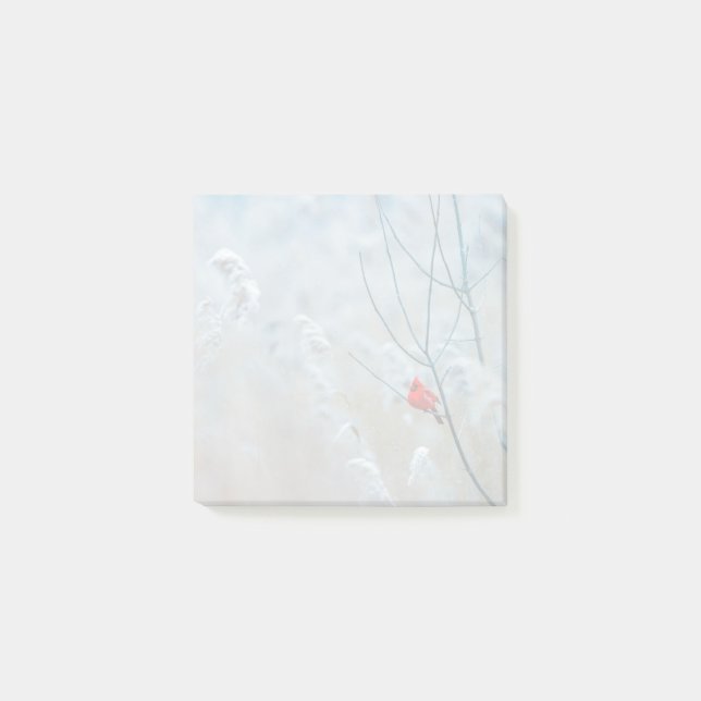 Red Cardinal in Winter Nature Photo Christmas Post-it Notes (Front)