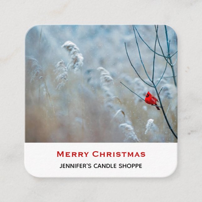 Red Cardinal in Winter Nature Photo Christmas Square Business Card (Front)