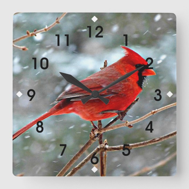 Red Cardinal in Winter Snow Square Wall Clock (Front)