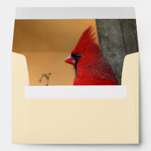 Red Cardinal Interior Envelope Return Address