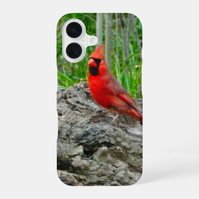 Red Cardinal iPhone Case (Back)