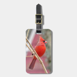 Red Cardinal Luggage Tag