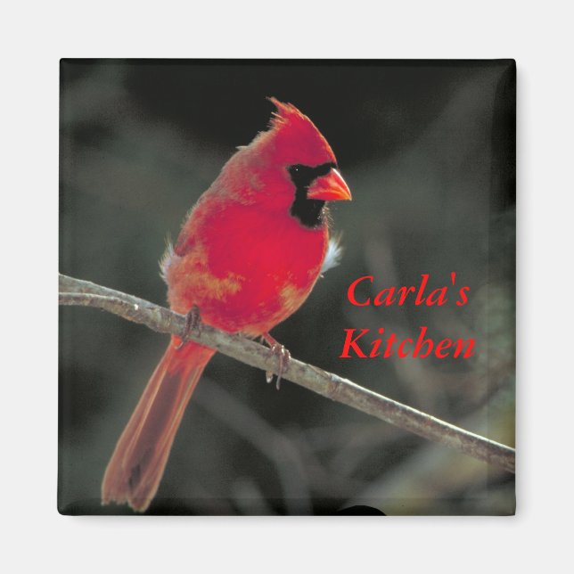 Red Cardinal Magnet (Front)