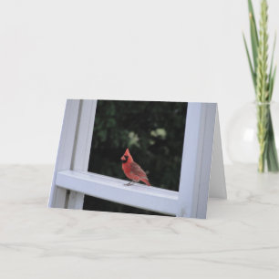Red Cardinal, Missing You Card