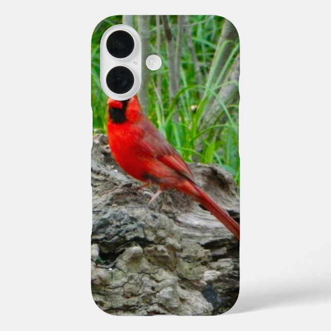 Red Cardinal (Ohio) iPhone Case (Back)