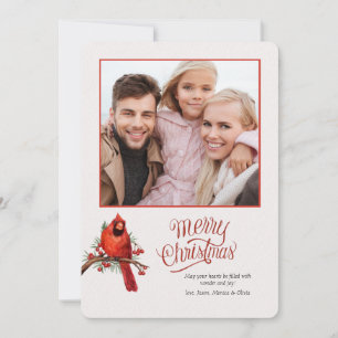 Red Cardinal on Berry Branch Photo Holiday Card