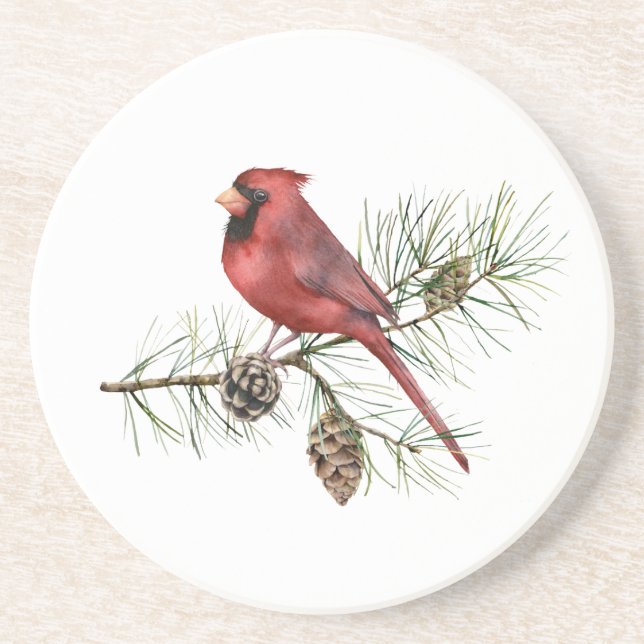 Red Cardinal on Branch Pine Cones Coaster (Front)