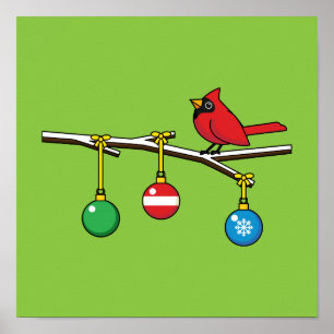 Red Cardinal on Christmas Bare Branch Poster