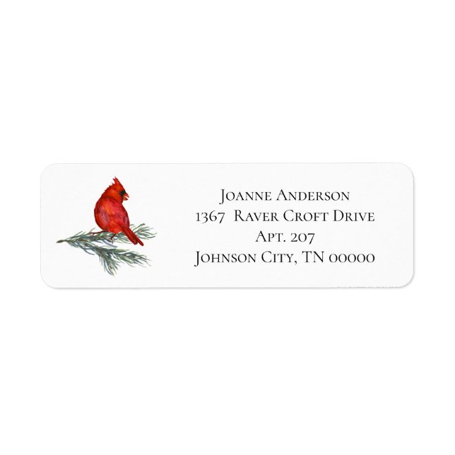 Red Cardinal on Pine Branch (Front)