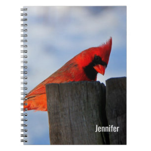 Red Cardinal on Wooden Stump Personalised Notebook