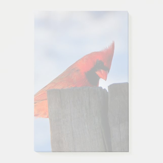 Red Cardinal on Wooden Stump Post-it Notes (Front)