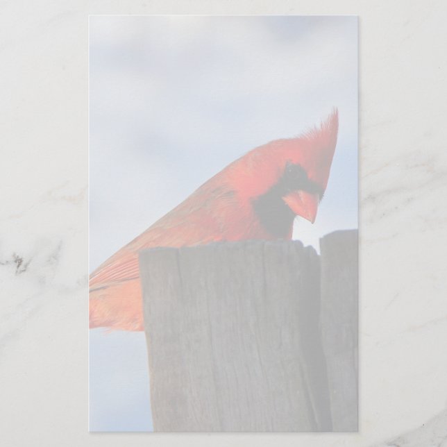 Red Cardinal on Wooden Stump Stationery (Front)