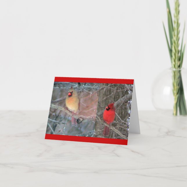 Red Cardinal Pair Card (Front)