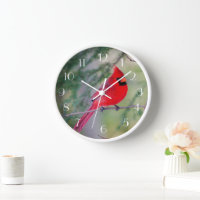Red Cardinal Perch