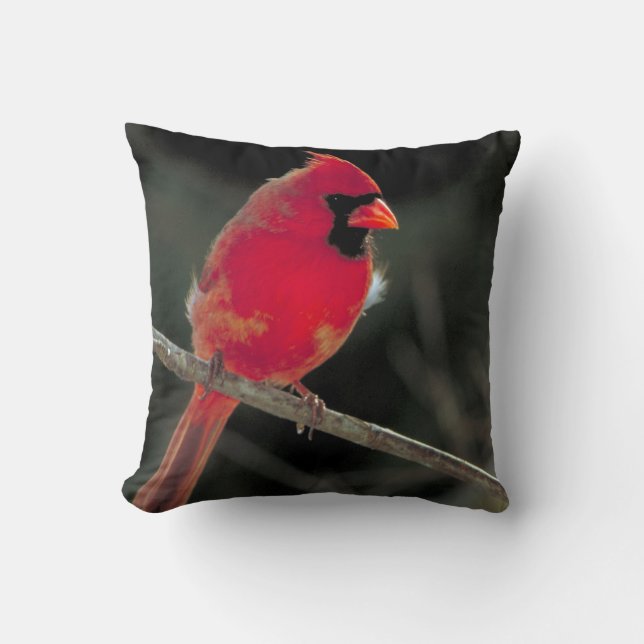 Red Cardinal Perched on a Tree Branch Cushion (Front)