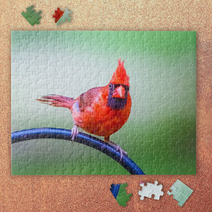 Red Cardinal Photo with Funny Expression Jigsaw Puzzle