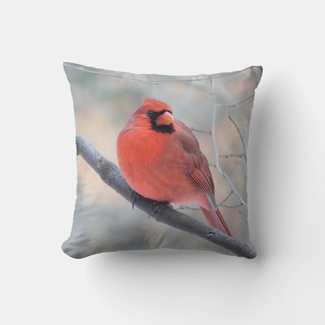 Red Cardinal Pose Pillow (Front)