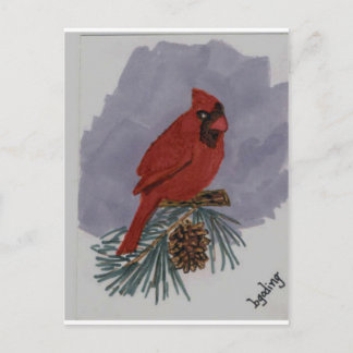Red Cardinal Postcard
