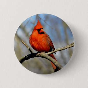 Red Cardinal Profile 6 Cm Round Badge