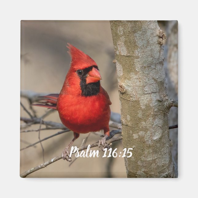 Red Cardinal Psalm 116:15 Magnet (Front)