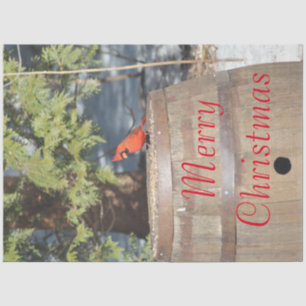 Red Cardinal Rustic Charm Tissue Paper